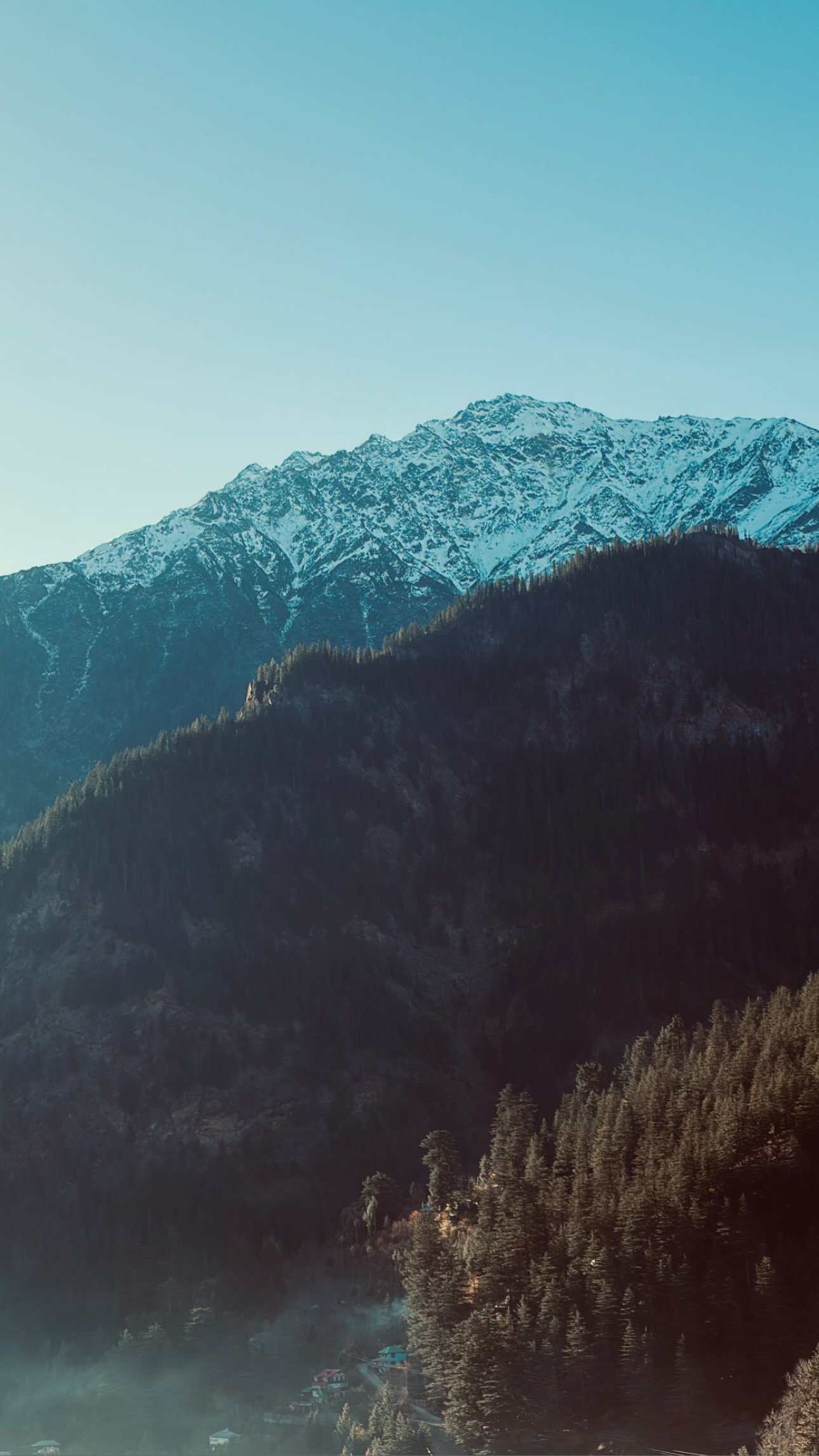 Portfolio a78b4df3 cd8d 44d5 8472 47306b8109c4